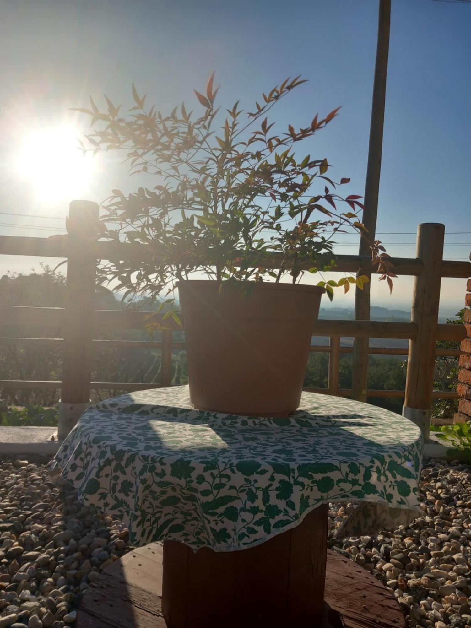루 Il Cortile Di Greta B&B 외부 사진