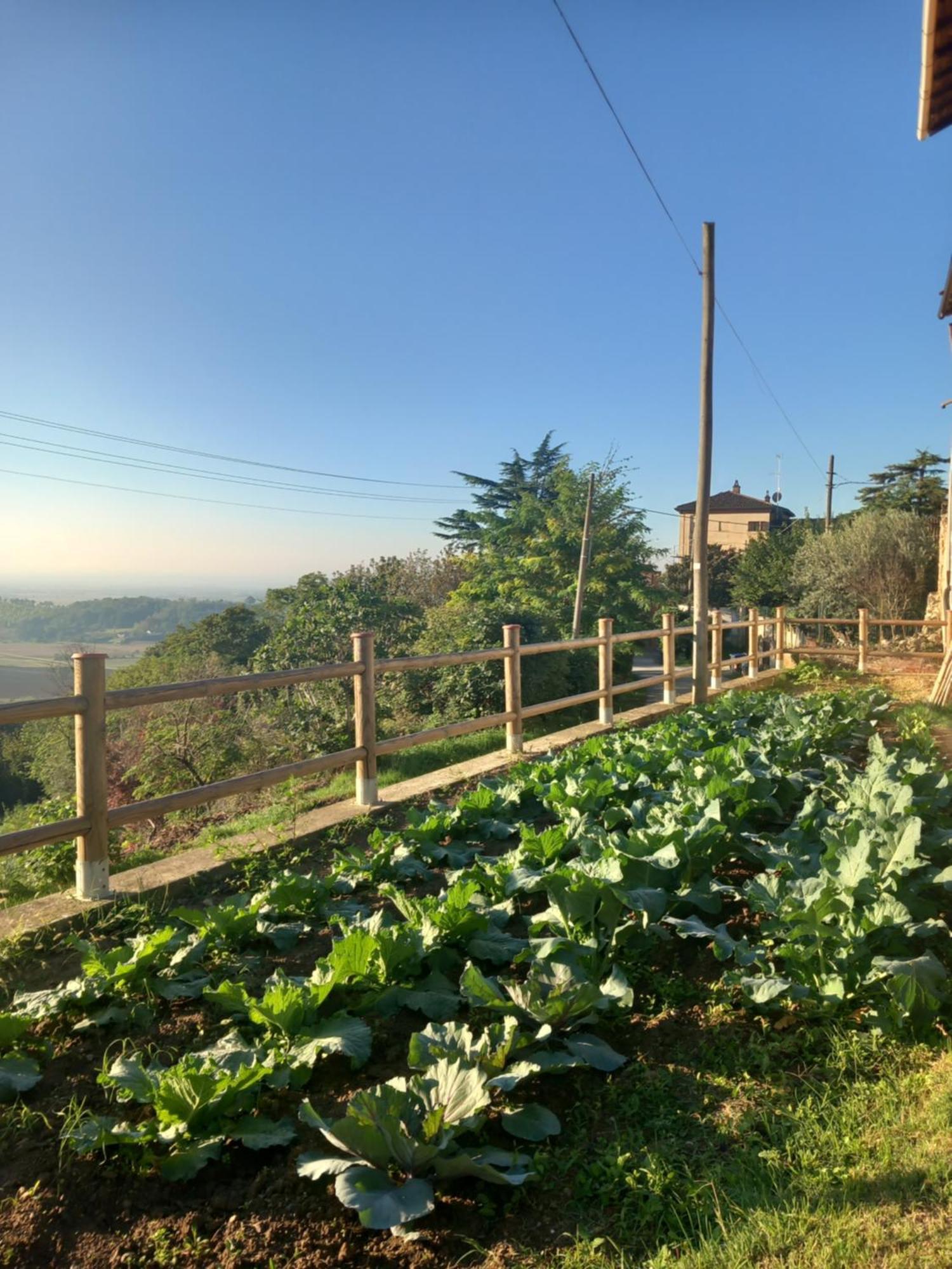 루 Il Cortile Di Greta B&B 외부 사진